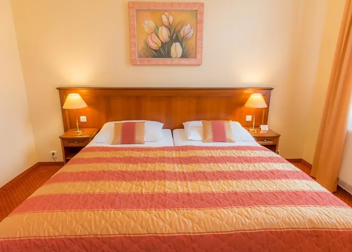 Hotel Ensana Centralni Lazne - Maria 4*