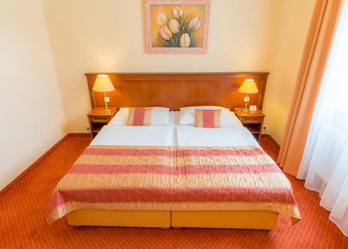 Ensana Centralni Lazne - Maria Marianske Lazne