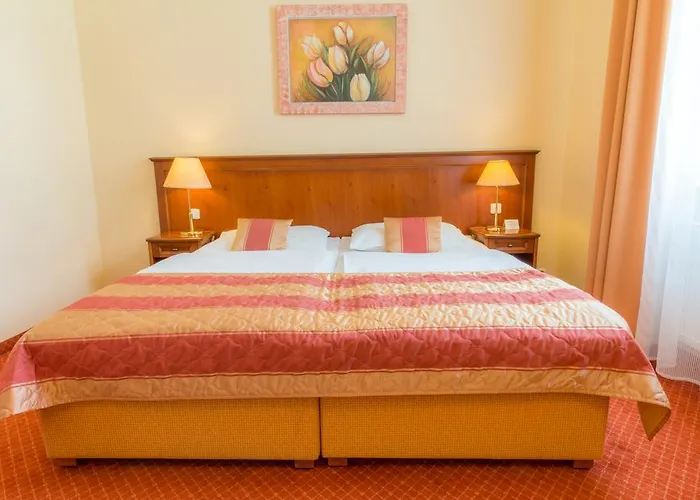 Hotel Ensana Centralni Lazne - Maria Marianske Lazne