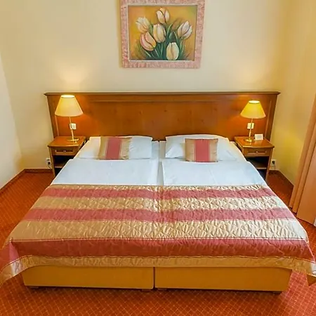 Ensana Centralni Lazne - Maria 4*