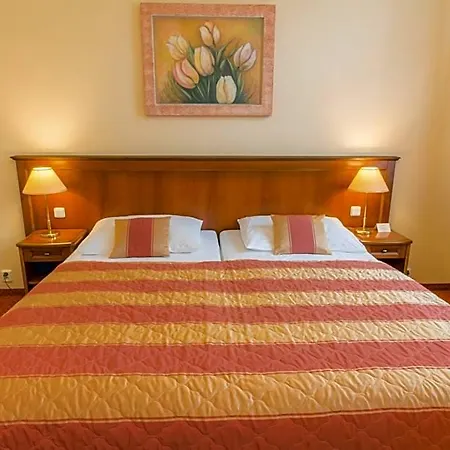Ensana Centralni Lazne - Maria 4* Mariënbad