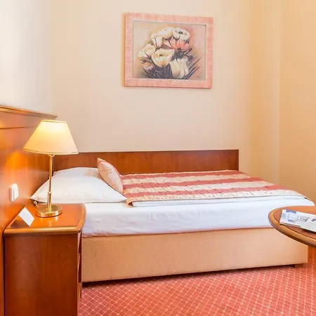 Hotel Ensana Centralni Lazne - Maria
