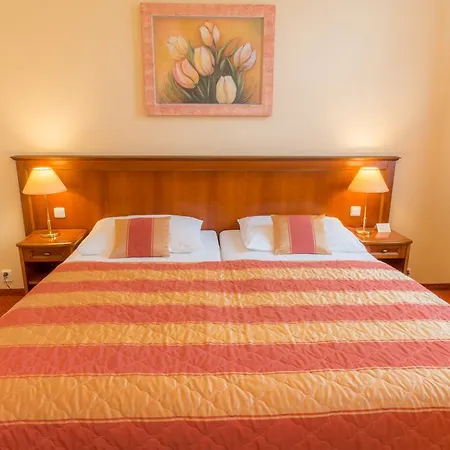 호텔 Ensana Centralni Lazne - Maria 4*