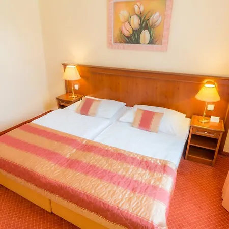 Hotel Ensana Centralni Lazne - Maria Mariánské Lázně