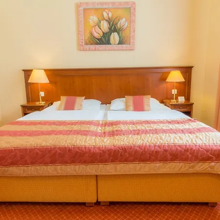 Hotell Ensana Centralni Lazne - Maria Mariánské Lázně