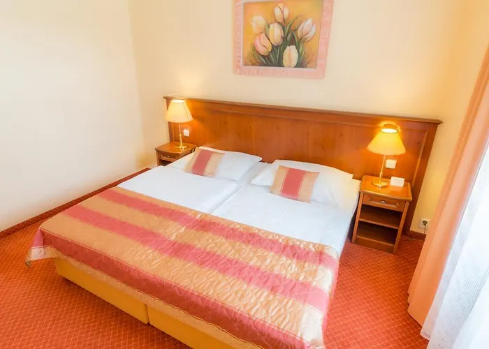 Hotel Ensana Centralni Lazne - Maria Mariënbad